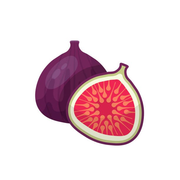 Fig OS